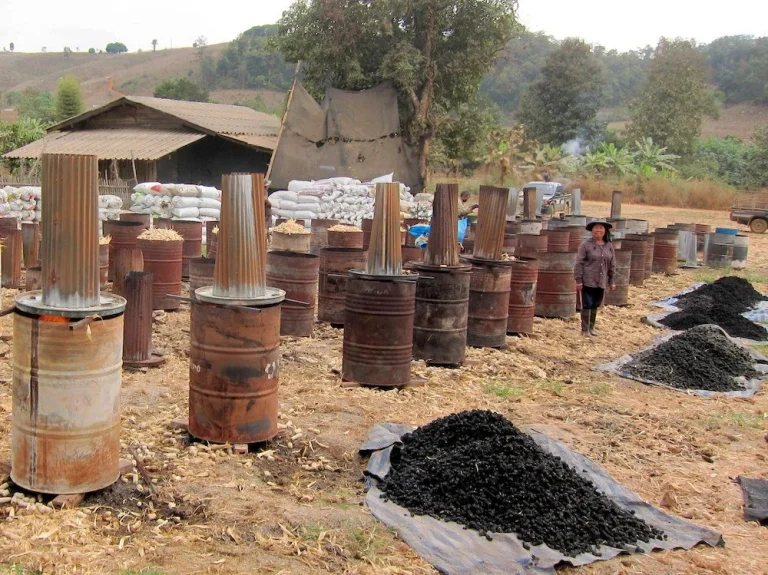Than sinh học – nguồn tín chỉ carbon chất lượng cao chờ khai phá
