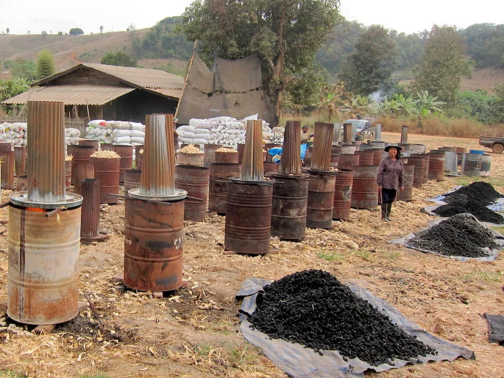 Than sinh học – nguồn tín chỉ carbon chất lượng cao chờ khai phá