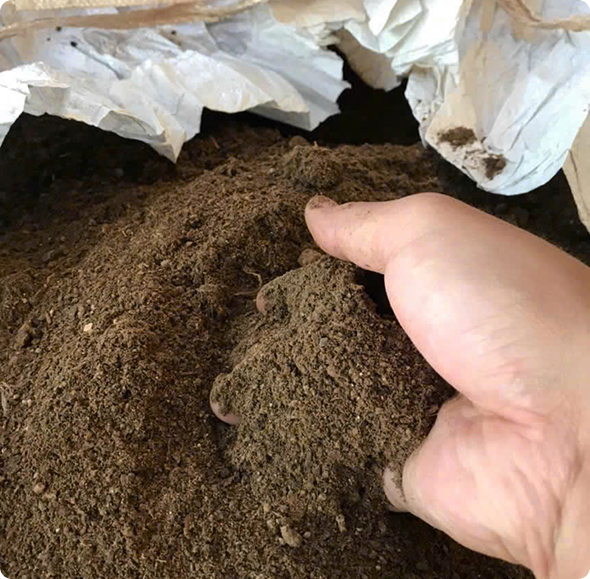 Phân Gà Lên Men (Loại A)